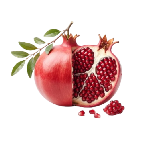 Cut pomegranate